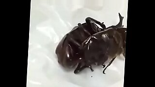 L'intérieur chauffé d'une scarabée rouge accueille une rencontre torride.
